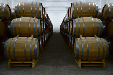 Wine or cognac barrels in the cellar of the winery, Wooden wine barrels in perspective. wine...