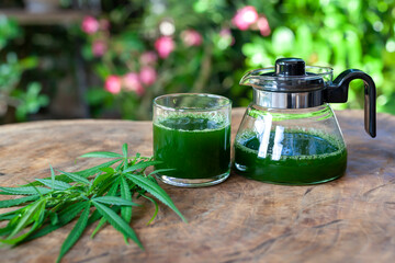 Cannabis smoothie in a pitcher