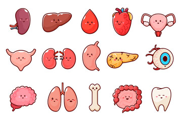 Cartoon human body organ characters. Isolated vector kidney, liver, blood drop and heart. Uterus, bladder and lungs, stomach or pancreas, eye ball, brain and bone, intestines, tooth anatomy personages