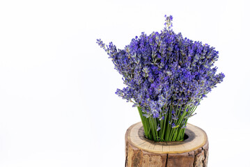 Bouquet of lavender flowers in a vase. On a white background. Isolated.