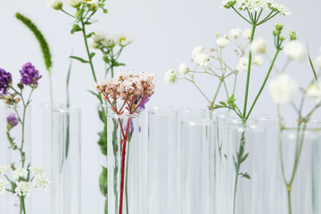 Concept of biology and chemistry research with flowers