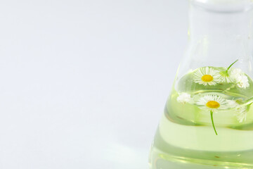 Concept of biology research, space for text