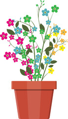 Grass plant in flower pot