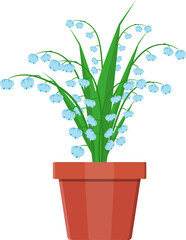 Grass plant in flower pot
