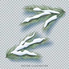 Vector fir tree branches. Vector illustration realistic fir tree branches with snow isolated on checkered background. Winter decoration elements.