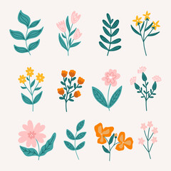 Set of modern floral elements.Flower and green leaves.Hand draw botanical.