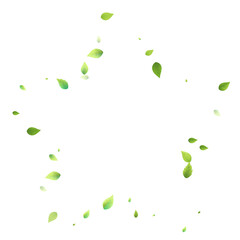 Leaves Green Falling Flying Foliage Leaf Tea Mint