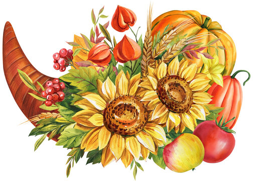 Watercolor cornucopia, symbol Thanksgiving, sunflowers, dry leaves, rowanberry, pumpkins on white background