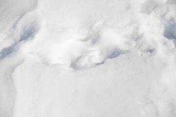 White winter background, snow texture.