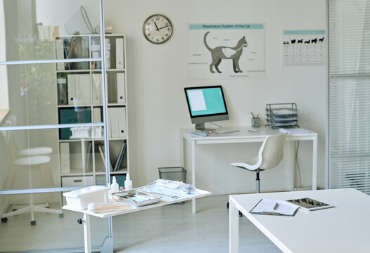 Horizontal image of modern vet clinic with workplace with computer