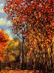 outono, folhas , castanho, folhagens, árvore