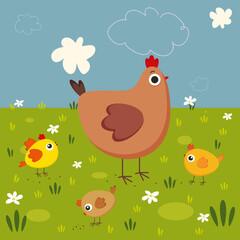 chicken and chickens in a flower meadow