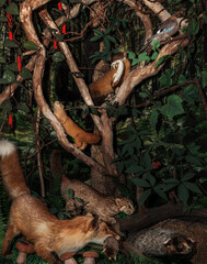 Stuffed animals of various animals are located on the wall and on a branch.