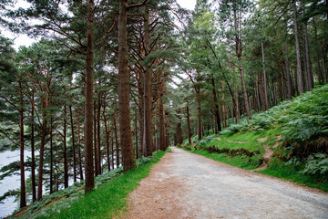Idyllic view in Glendalough Valley forest with footpath, County Wicklow, Ireland. Mountains, lake and tourists walking paths