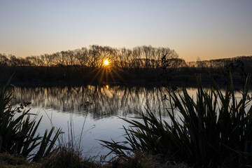 Sun starbursts shinning through trees along Clutha river at sunset, Balclutha, South Otago.