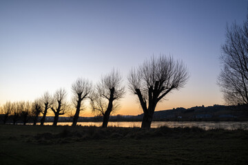 Silhouette trees along the Clutha river at dusk in winter, Balclutha, South Otago.