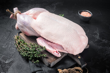 Fresh Raw whole duck with herbs and spices. Black background. Top view