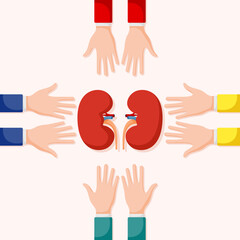 Set of hands gestures with kidney