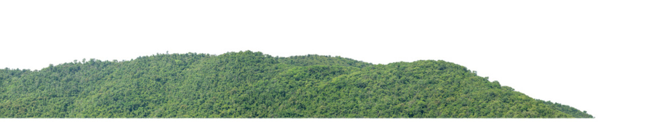 rocky mountain hill with green forest isolated on transparent .background with clipping path and alpha channel