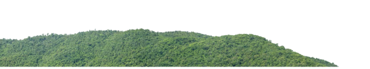 Fotobehang rocky mountain hill with green forest isolated on transparent .background with clipping path and alpha channel © Sarawut