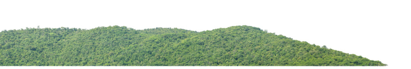 rocky mountain hill with green forest isolated on transparent .background with clipping path and alpha channel