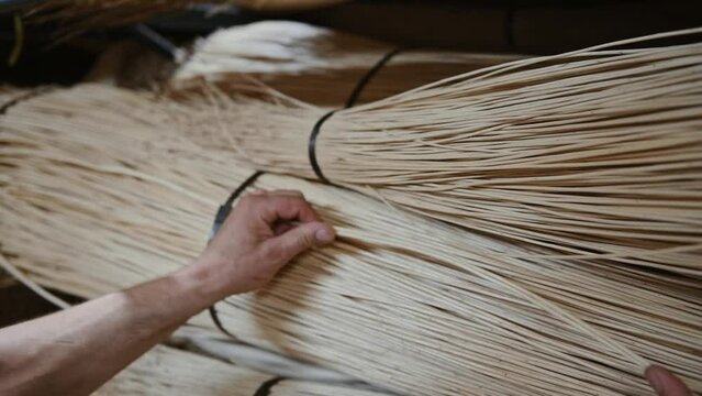 Un vannier choisir les branches d'osier dans des bottes dans l'atelier de vannerie