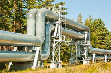 pipeline, in the photo pipeline close-up against the background of blue sky and forest