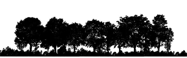 Silhouette tree brush design on transparent .background, illustrations brush brush from real tree with clipping path and alpha channel