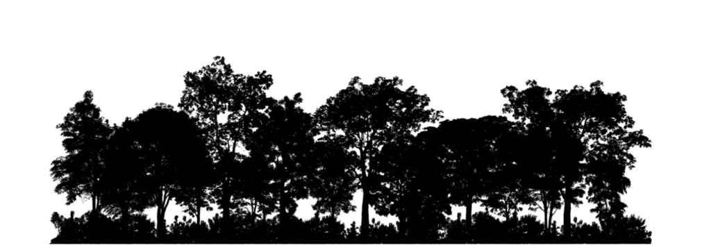 Silhouette tree brush design on transparent .background, illustrations brush brush from real tree with clipping path and alpha channel