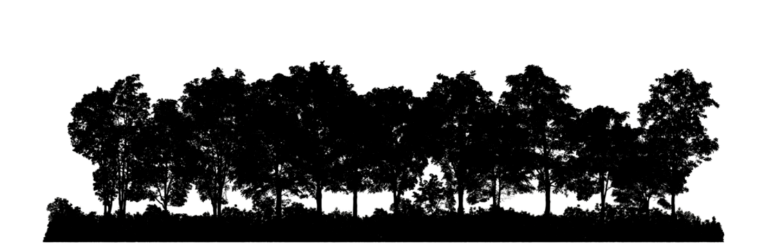 Silhouette tree brush design on transparent .background, illustrations brush brush from real tree with clipping path and alpha channel