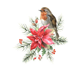 Watercolor christmas composition with robin bird and poinsettia