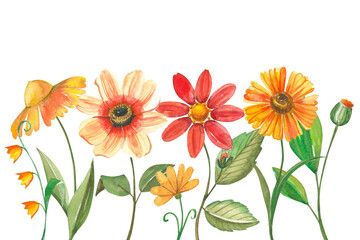 Watercolor linear floral illustration for postcards. Blooming summer flowers in warm colors in vintage style.