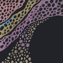 Colored abstract ornaments on a black background