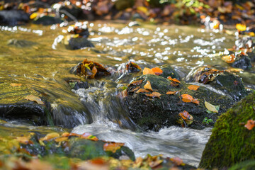 Photo of water flowing in a river during autumn