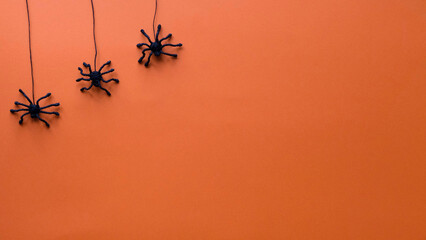 Black toy spiders descend on cobwebs on. Orange background for Halloween