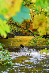 Photo of water flowing in a river during autumn