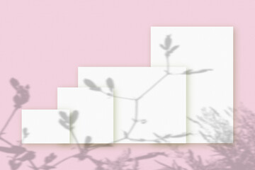 Natural light casts shadows from wildflowers of several horizontal and vertical sheets of white textured paper against a pink wall background. Mock up with an overlay of plant shadows