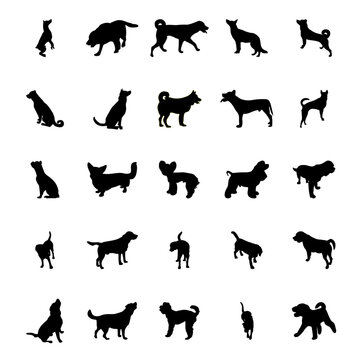 Silhouettes of dogs in different poses, a huge pack of silhouettes of animals. Vector white background black silhouette