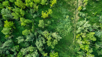 River Climate change drone