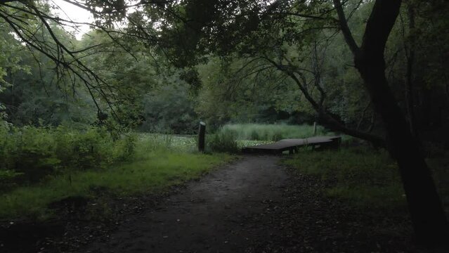 Smooth 4k shot in a parc in France with a small lake, showing the dark side of the parc.
