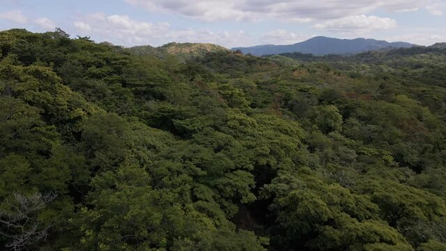Ascending Aerial Shot Over Dense Trees Revealing A Beautiful Coastline In The Guanacaste Province, Costa Rica