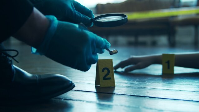 Detective Collecting Evidence in a Crime Scene. Forensic Specialists Making Expertise at Home of a Dead Person. Homicide Investigation by Professional Police Officer.