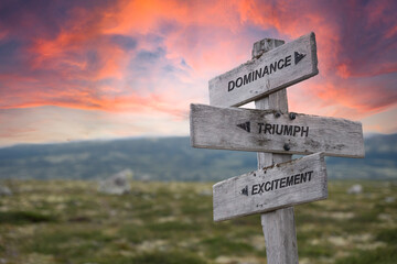 dominance triumph excitement text quote on wooden signpost up on the mountains during sunset and red dramatic skies.