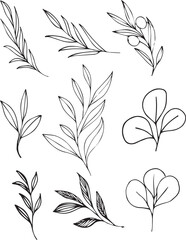 Leaves and twigs line art. Hand drawn floral elements. 