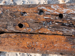 altes Treibholz mit Rissen und Löchern, rot-braun