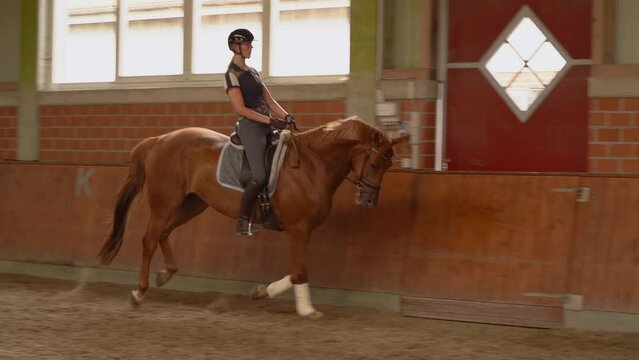 Slow Motion Of A Female And Chestnut Dressage Horse Canter At Indoor Arena.