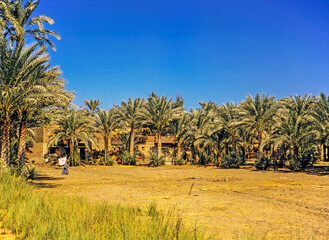 Oasis, Egypt