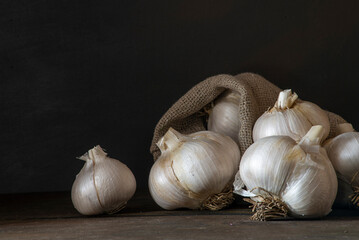 big Garlic Cloves and Bulb wooden table cooking on dark background. burlap sack cutting board copy space Close-up  rustic  still life spice Healthy organic antioxidant raw.
