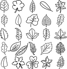 Leaves Hand Drawn Doodle Line Art Outline Set Containing leaf, leaves, frond, needle, petal, stalk, blade, bract, flag, leaflet, pad, petiole, scale, stipule, foliole