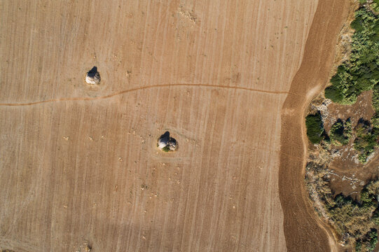 Aerial view of Trulli, a traditional Apulian dry stone hut with a conical roof, Costa dei Trulli di Ripagnola, Italy.